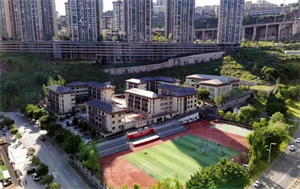 紫金小学.png