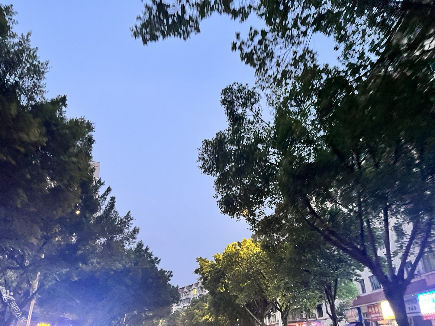 20250519195238front1_0_446154_FhV2W6YNtYCEpWT6cF3qSuXqAsZ1.jpg