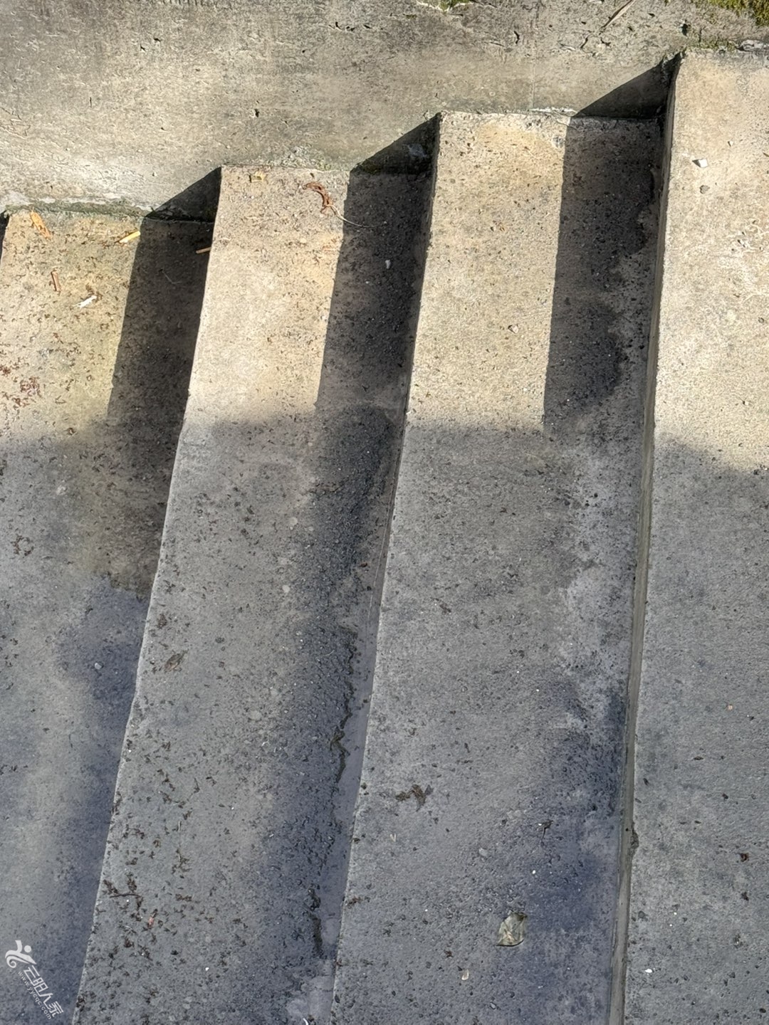 20250523091315front1_0_77562_FgJcjfDhPlMu878S8hZJ7BjUUosM.jpg
