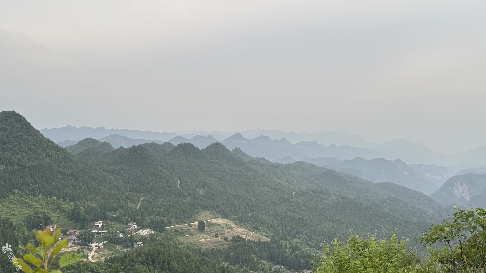 20250525102939front1_0_381212_Fvxj2y0oAh3tDhz-5FfgcjHiV7c9.jpg