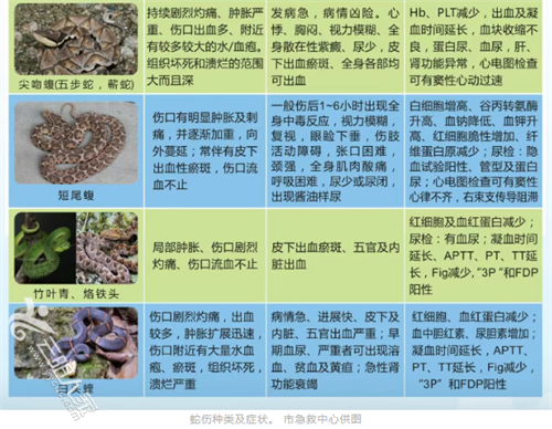 微信图片_20250607104335.png