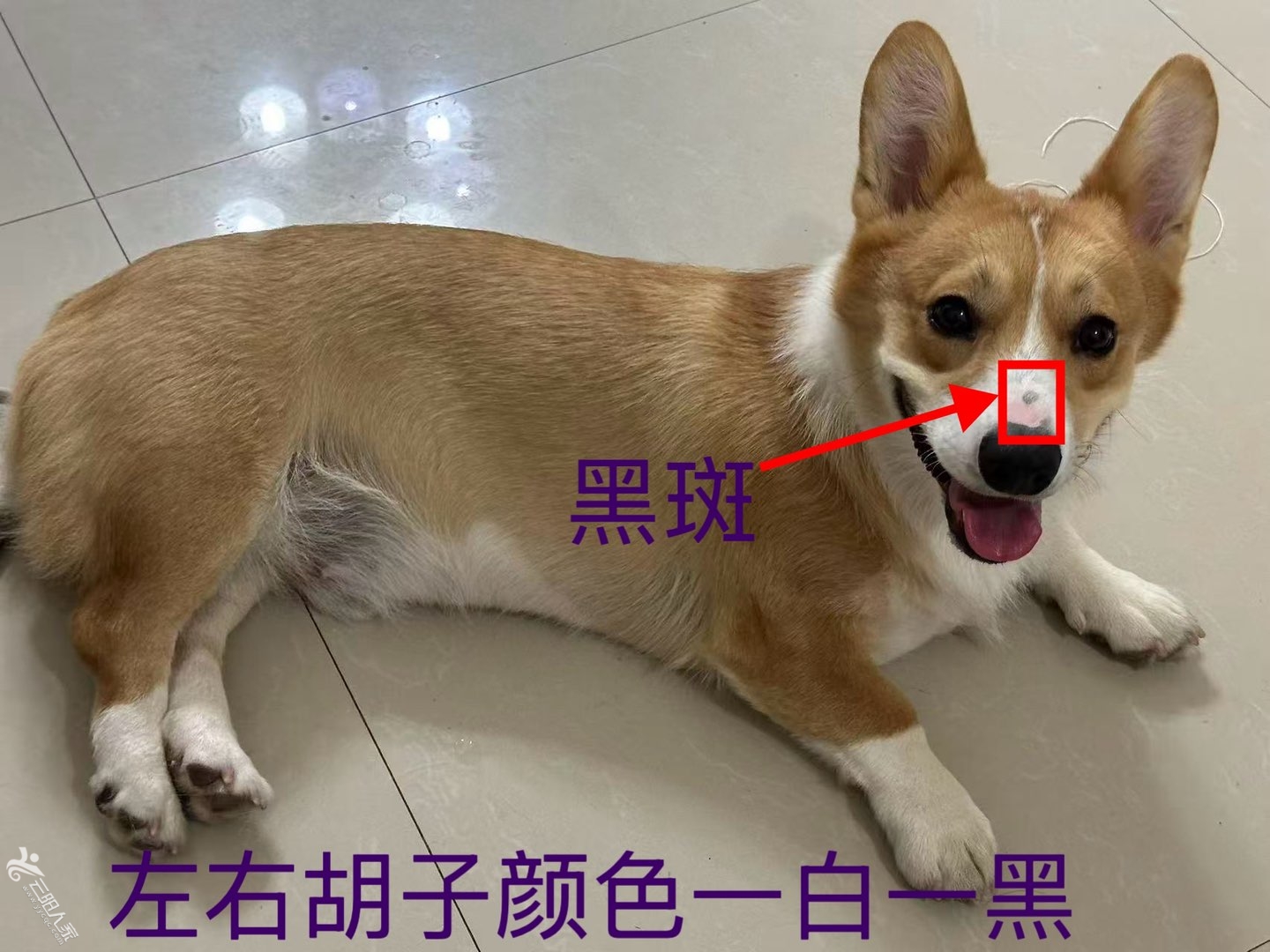 20250614072526front1_0_403843_FsDoRwD-XNm9QoZehGq7XyTKdq5L.jpg