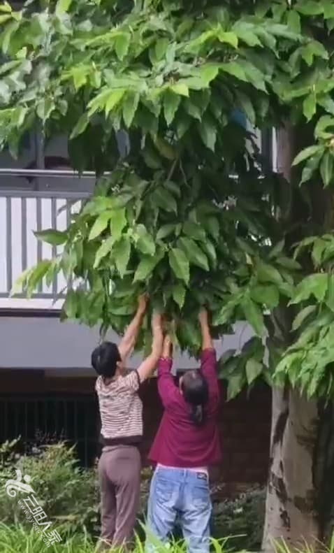 058d964094633f0a538267f00b0441b5.jpg