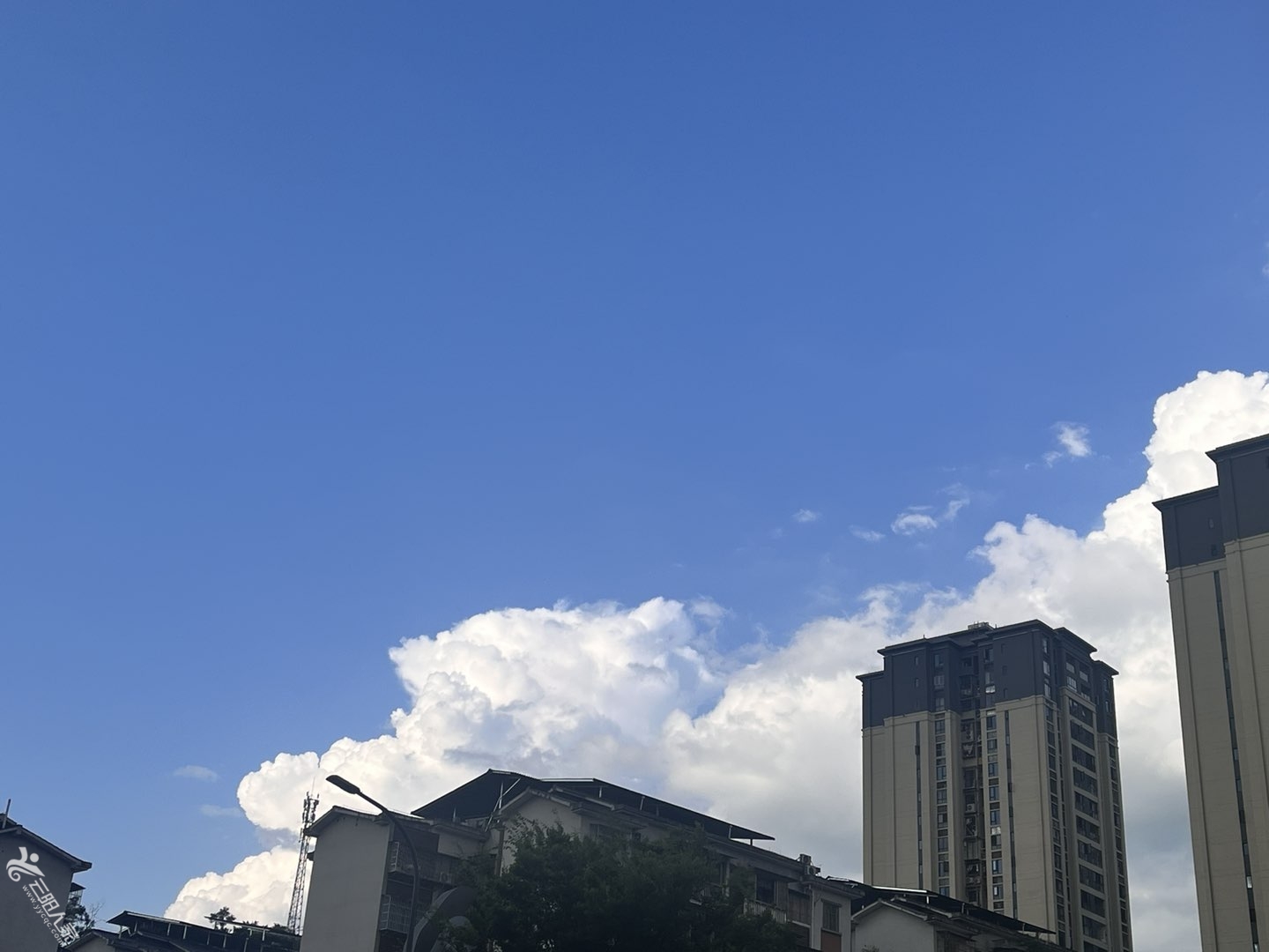 20250628181858front1_0_446154_Fp-bxytRxaYCbbHjH0D8QrDuvqQv.jpg
