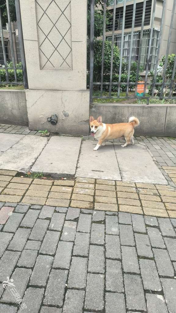 20250707114417front2_0_460665_FsdCuDLKki3fvAsugiyWI9HiwIrO.jpg