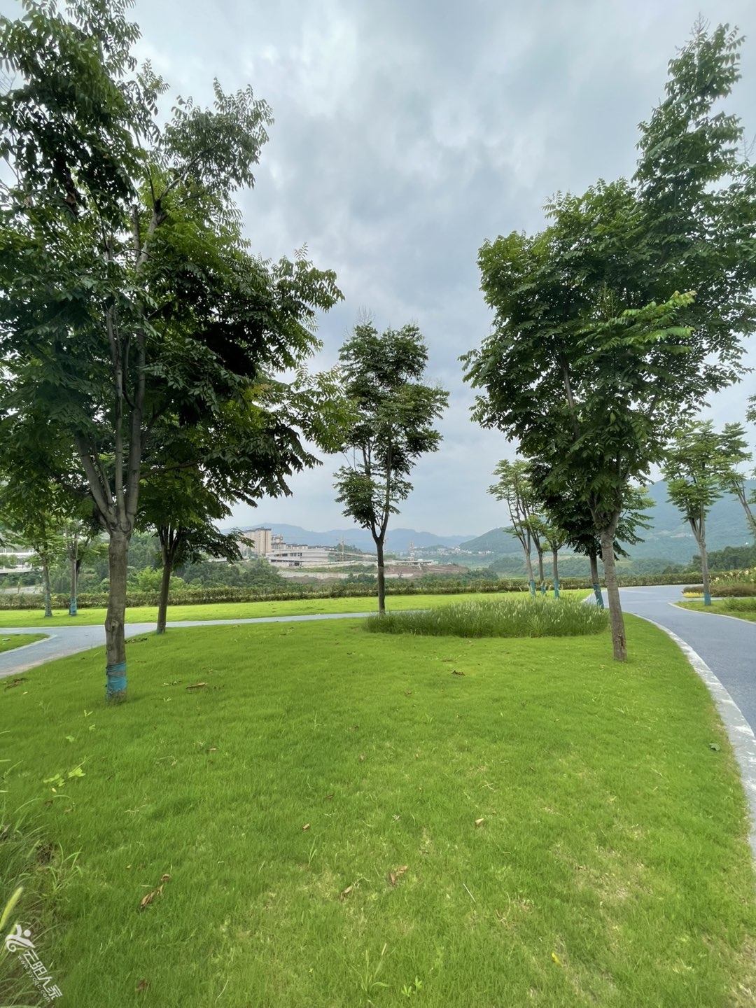 20250728191646front1_0_325495_Fm6uteM8PeVRYQYrh_o5_qJyvop9.jpg