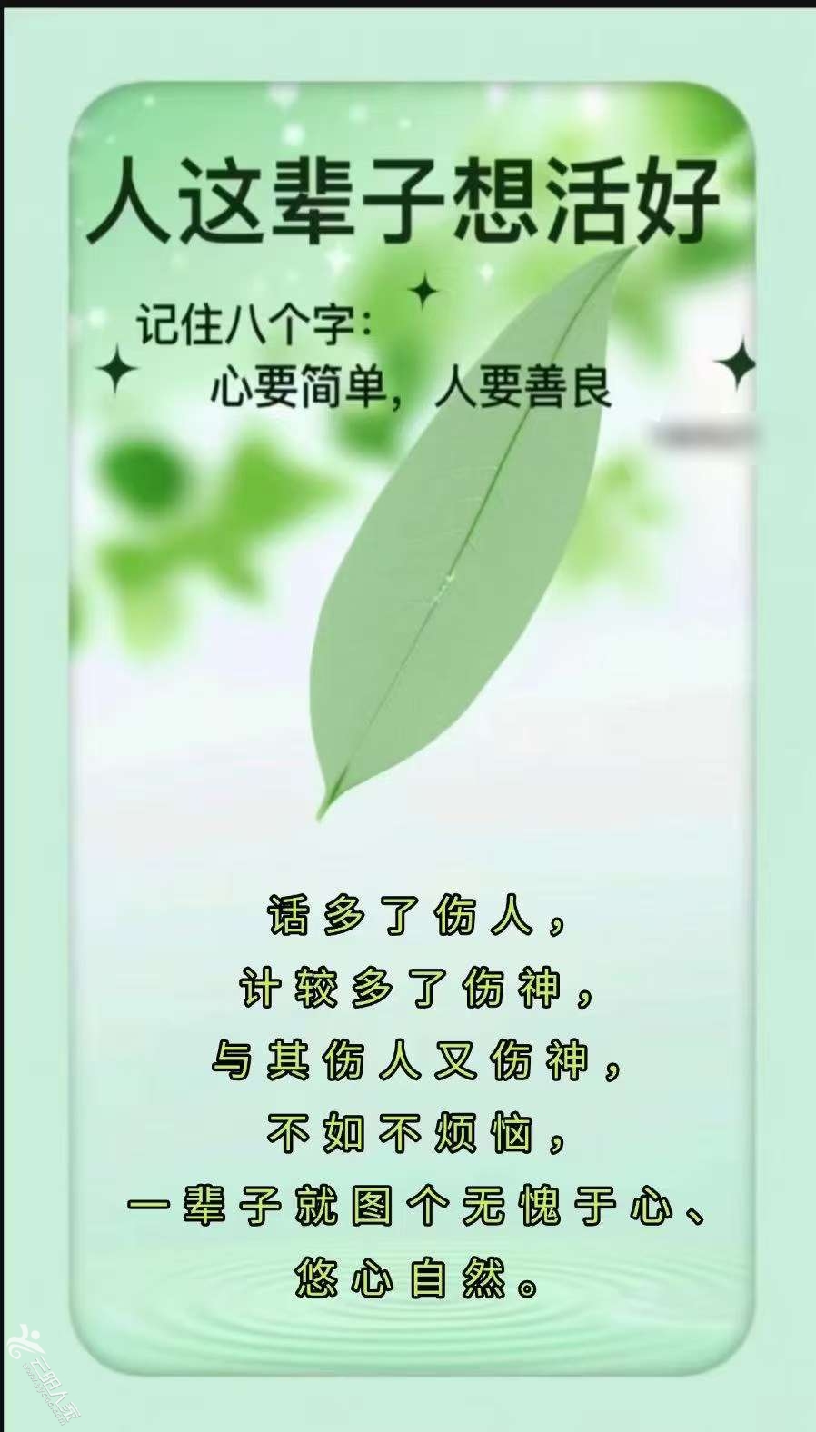 20250730202121front2_0_560352_FuonIJIT9M7U8wpubHi2JiMEQ9iE.jpg