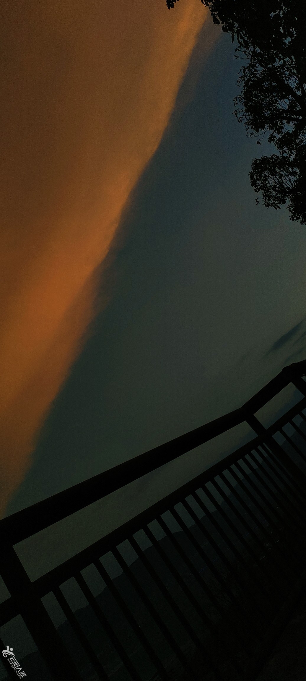20250812204404front2_0_552873_FvWuYc5h6FUR3pPl99wZtKgNpgKx.jpg
